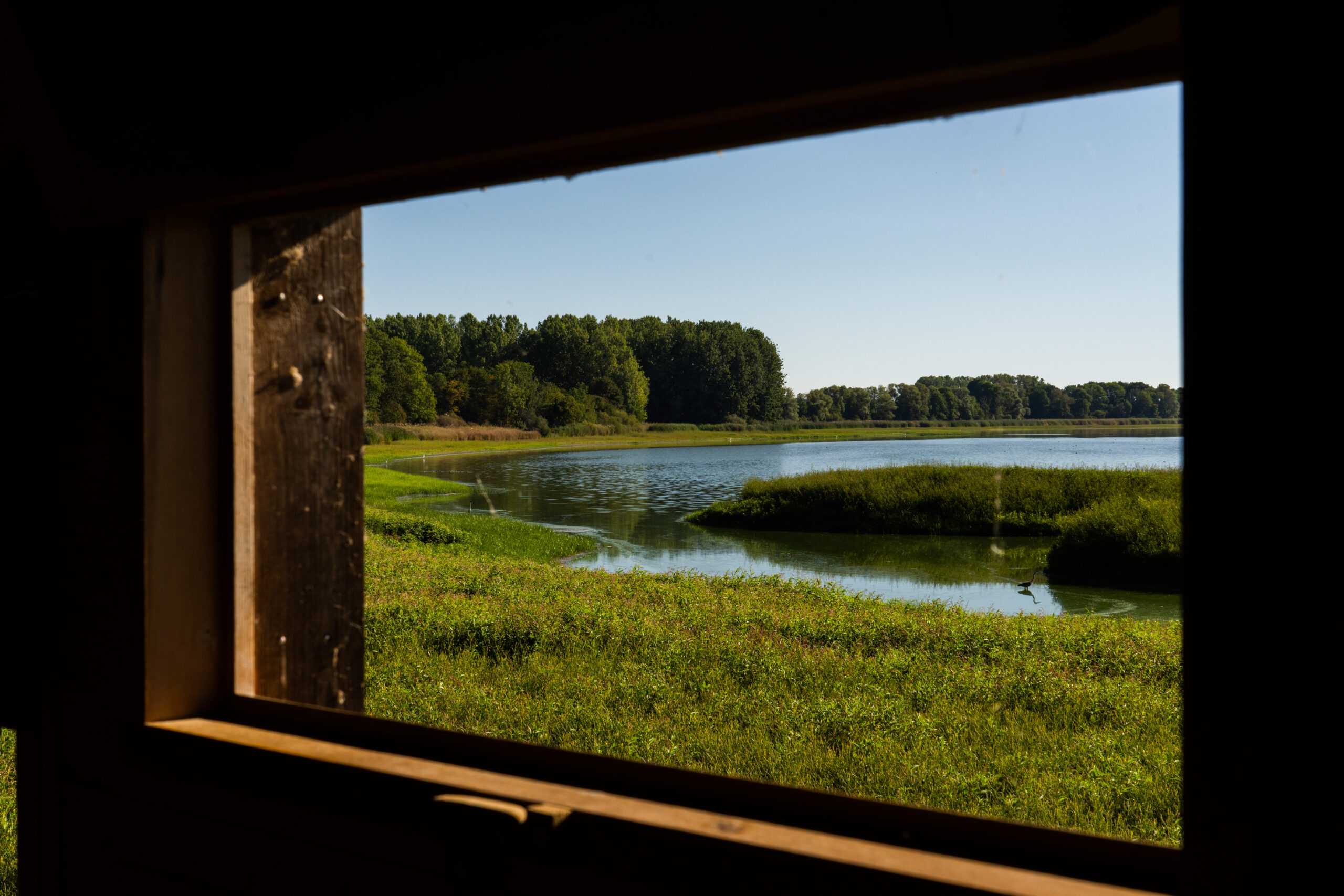 Vue de la cabane d'observation du Domaine départemental de Lindre