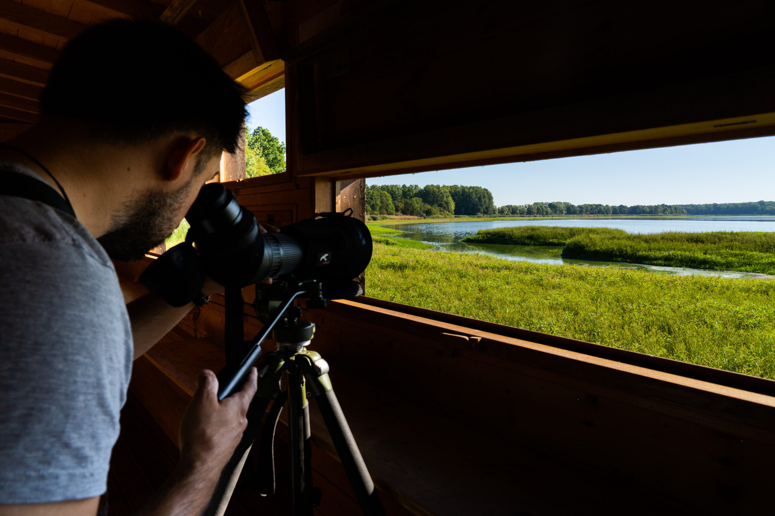 photographe au Domaine départemental de Lindre