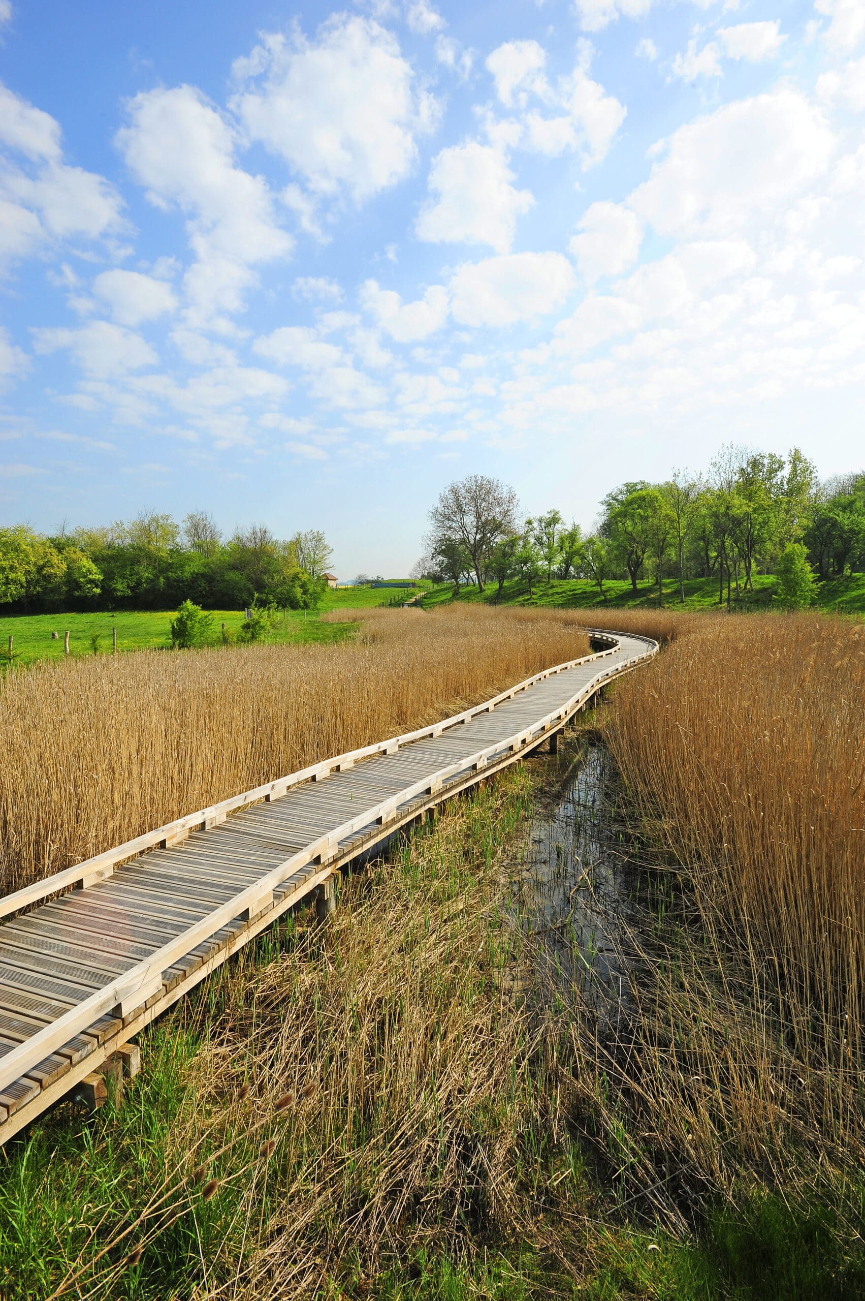Pont survolant un étang à Marsal