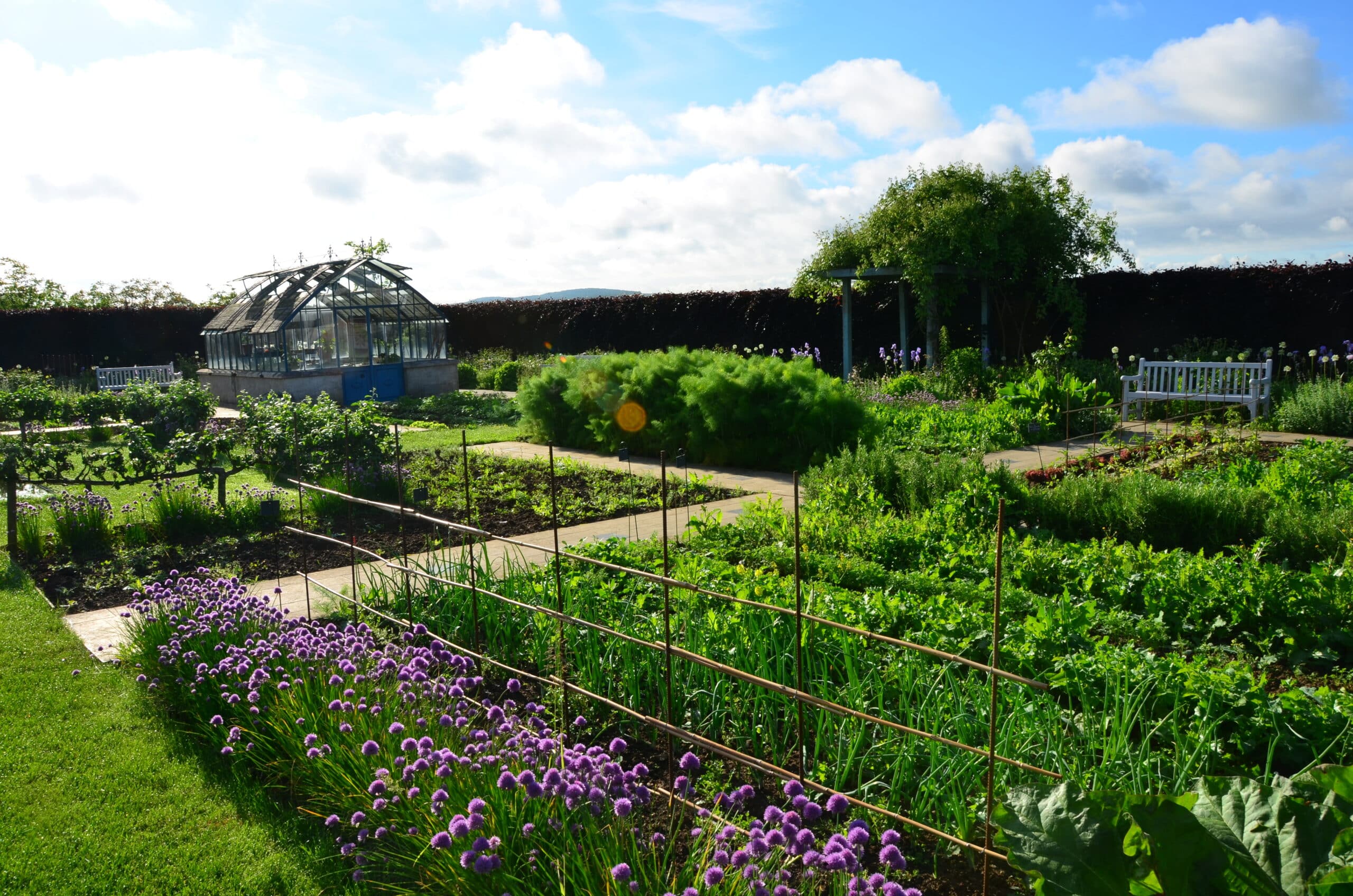 Photographie des plantations et de la serre des Jardins Fruitiers de Laquenexy