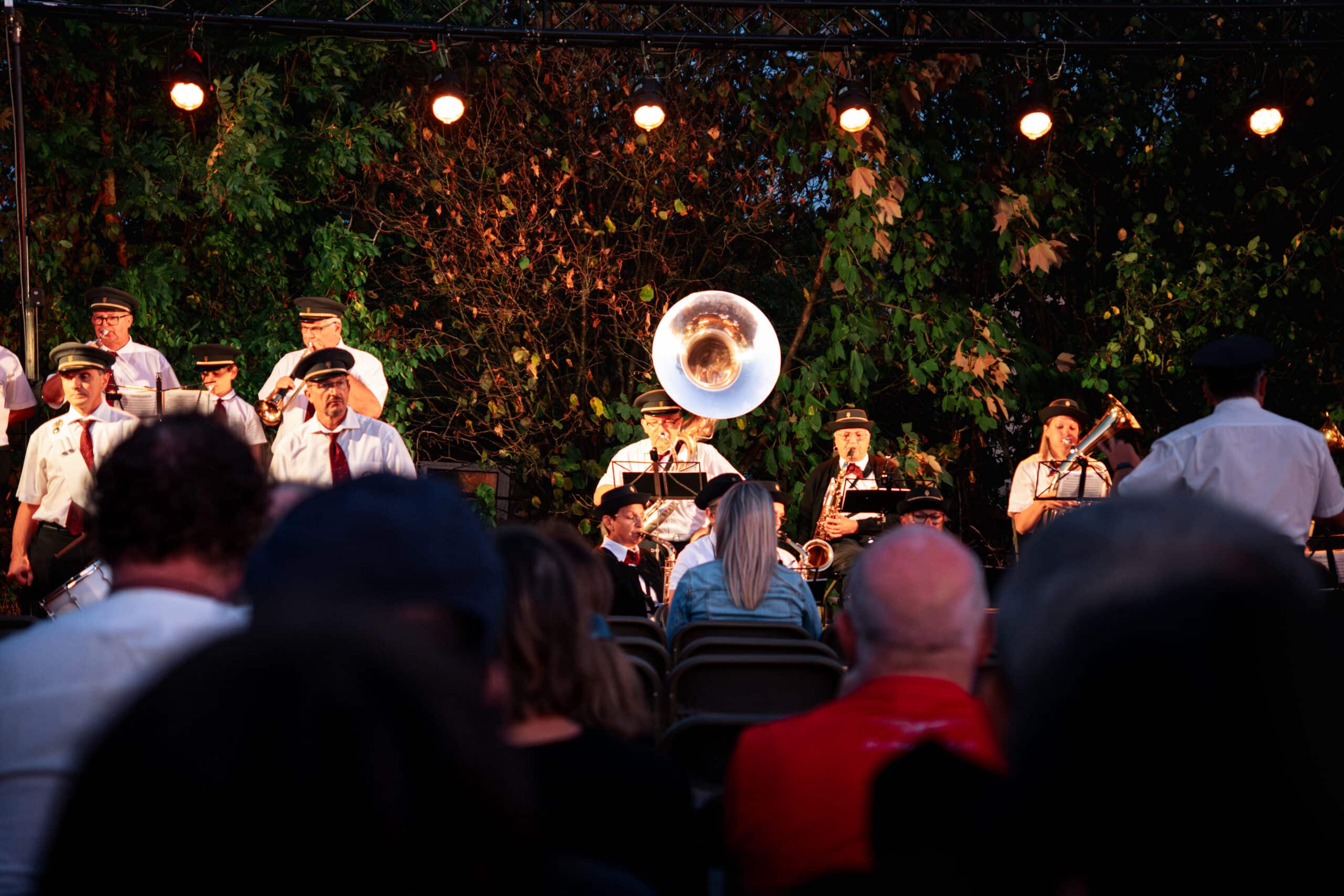 Spectacle musical d'hommes officiel au Musée de la Guerre de 1870 et de l'Annexion