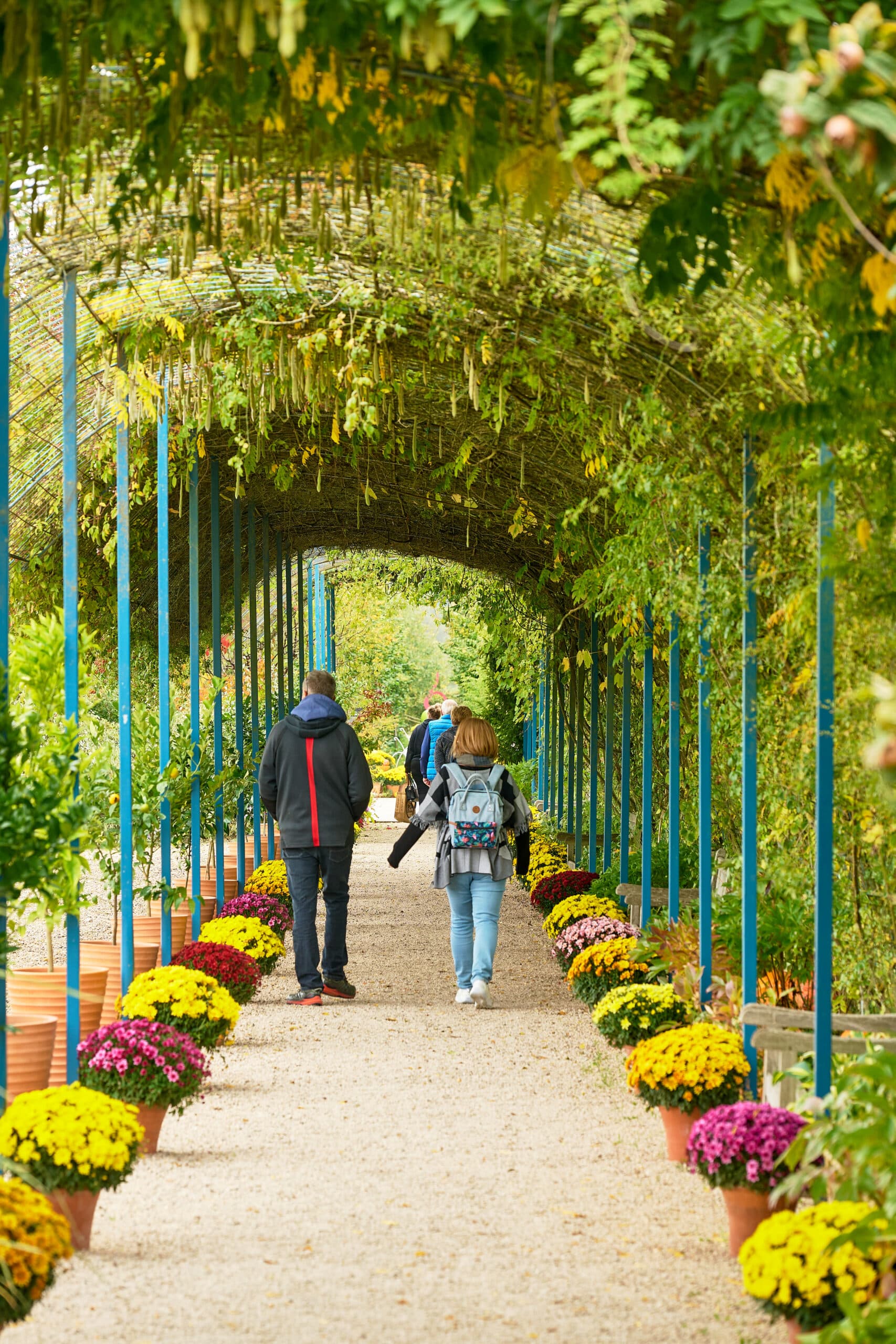 Photographie d'une promenade dans des jardins
