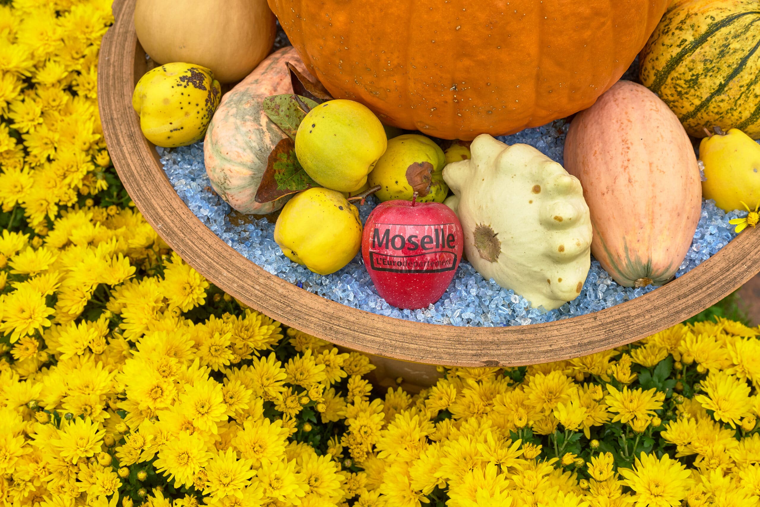 Bac de fruits et légumes mettant en avant l'eurodépartement de la Moselle