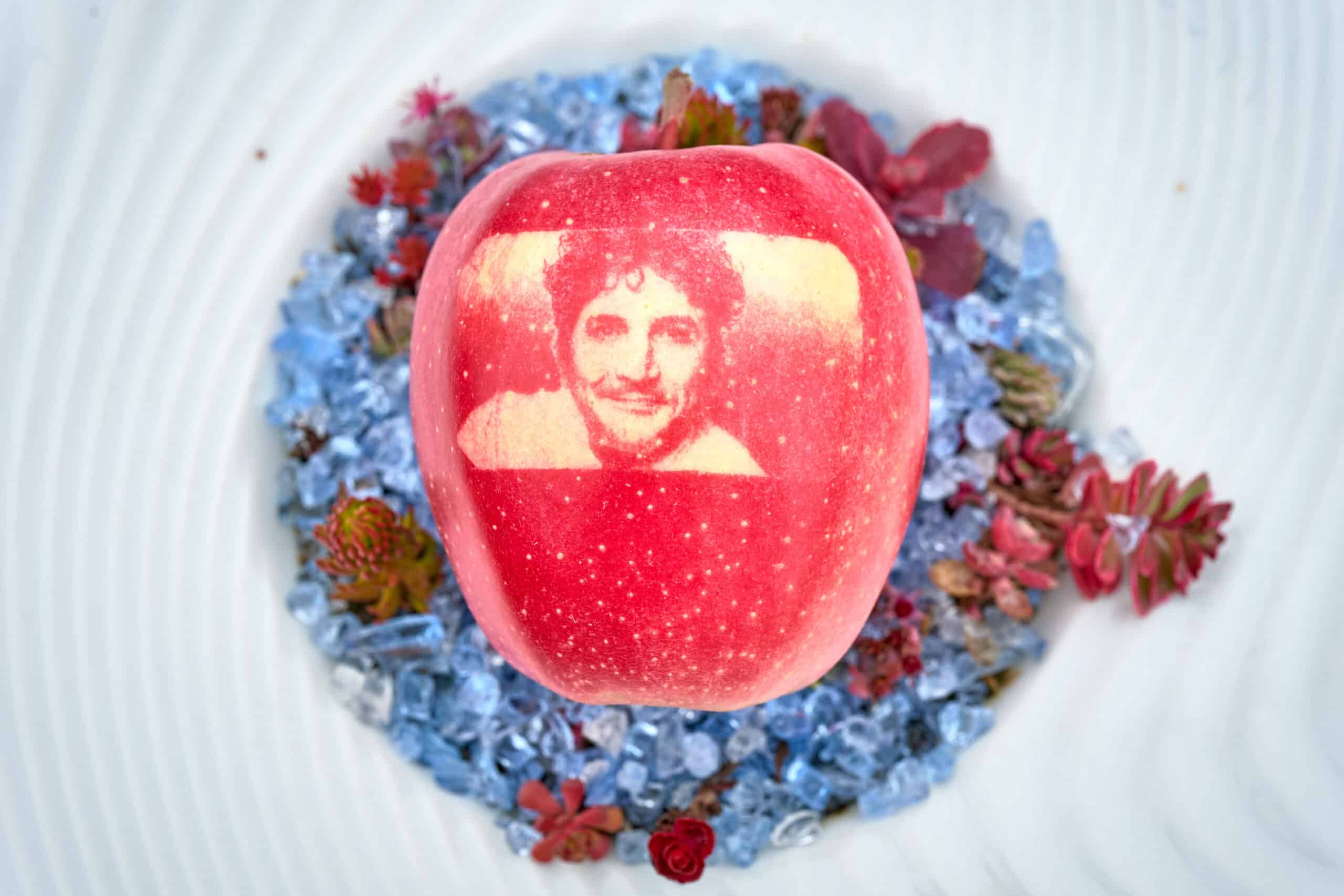 Pomme scluptée dévoilant un visage d'homme