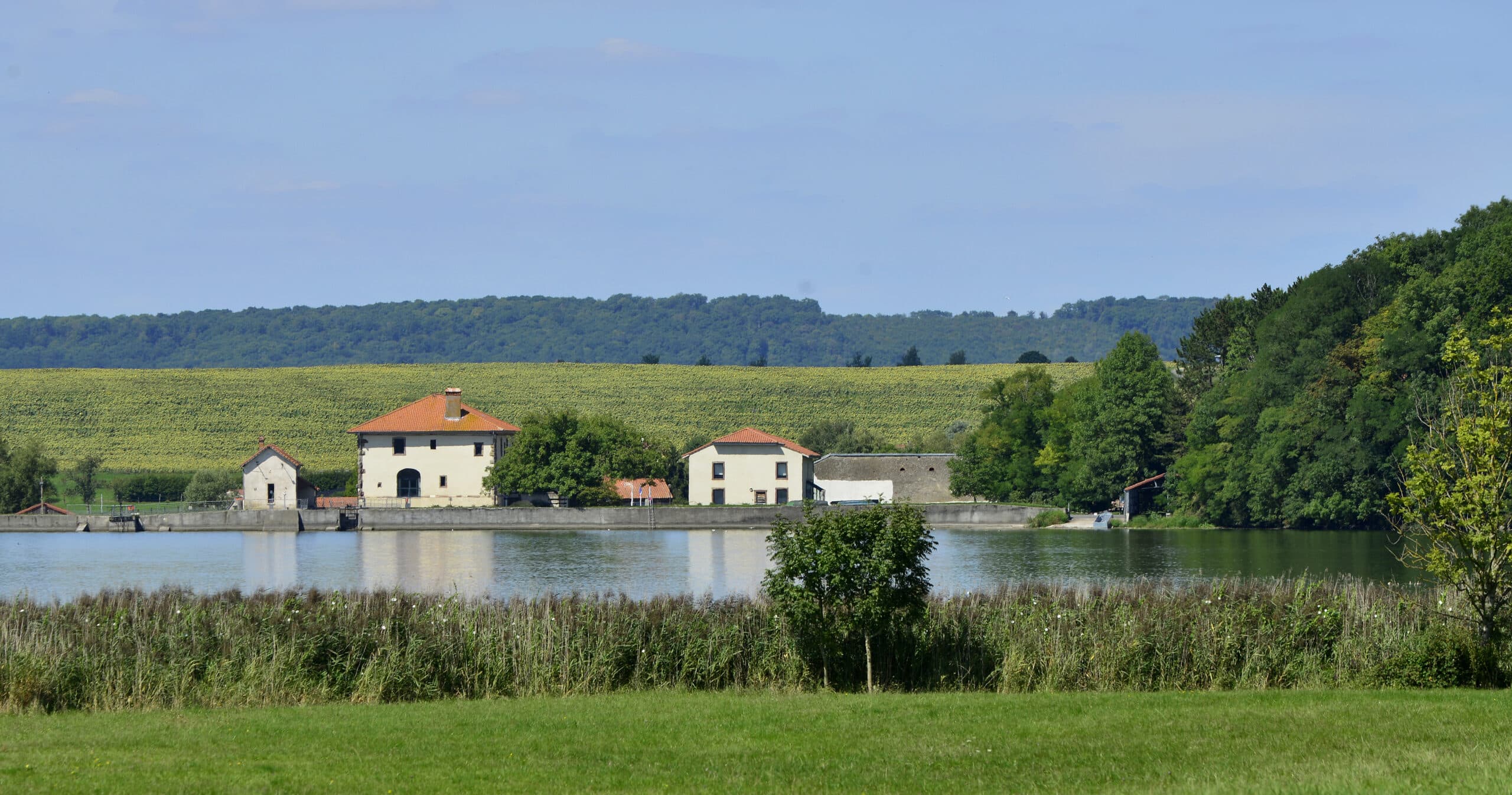 Vue du sol du Domaine départemental de Lindre