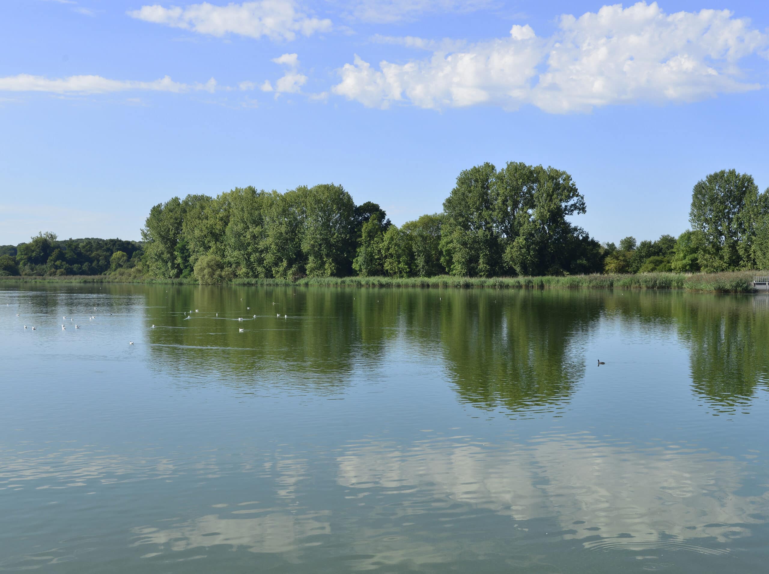Paysage du Domaine départemental de Lindre