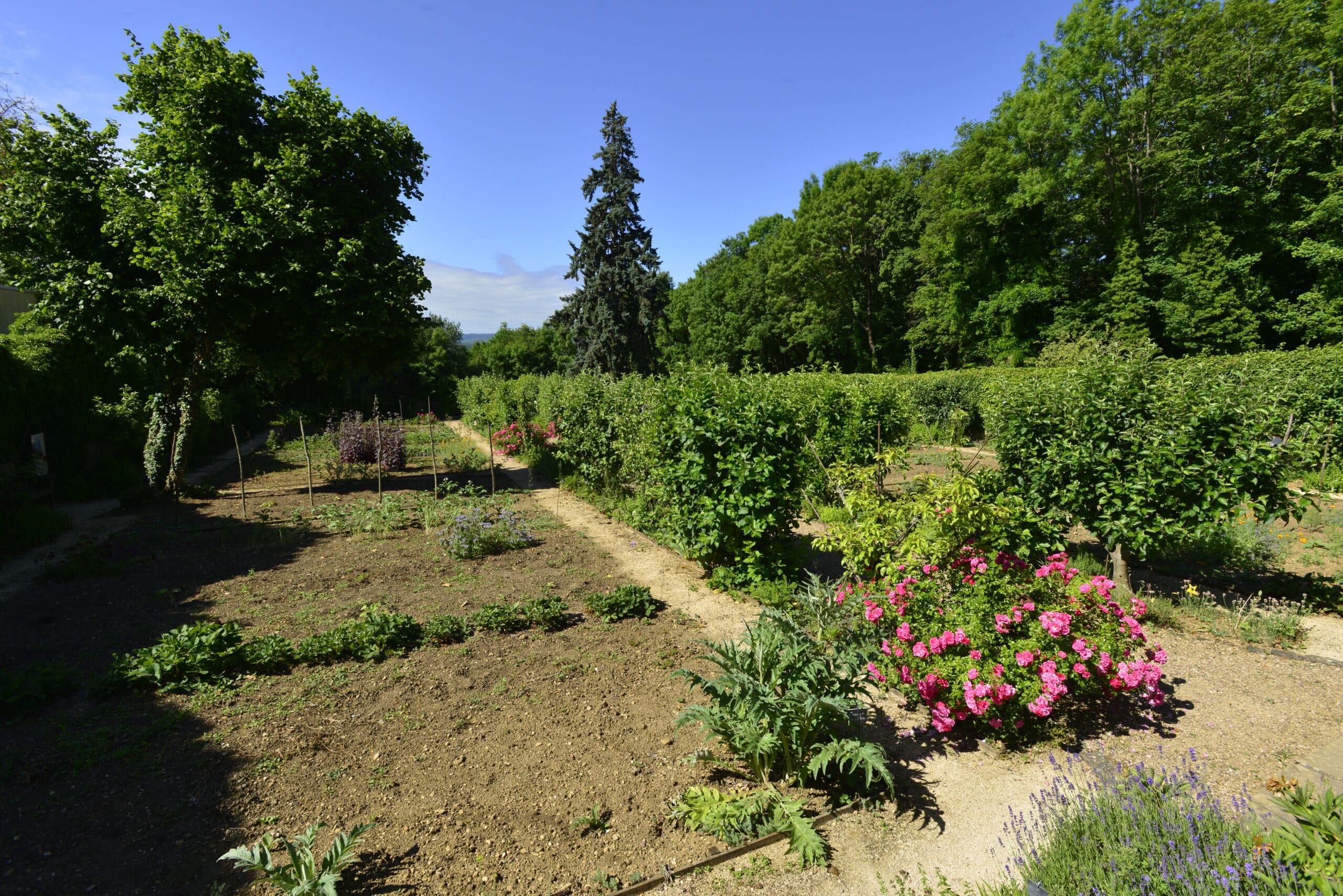 Paysage extérieur de la Maison de Robert Schuman montrant son jardin