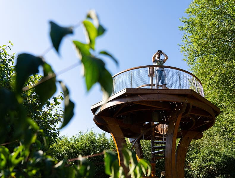 Photo d'un enfant au sommet d'un observatoire en forêt